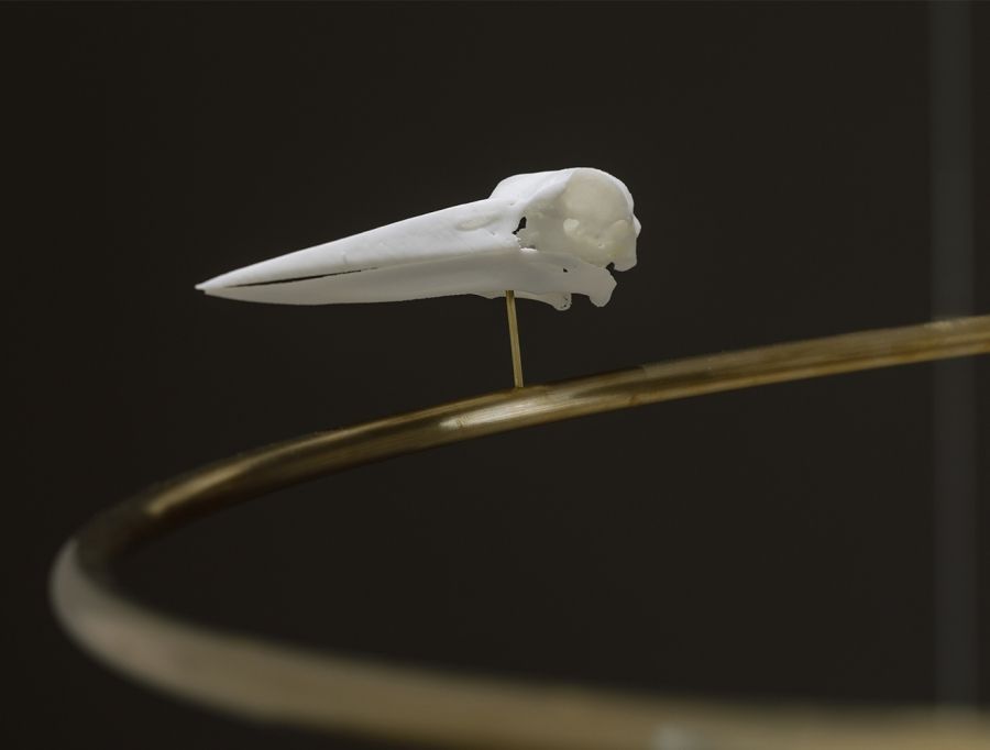 Slow Moving Waters | The 2021 TarraWarra Biennial