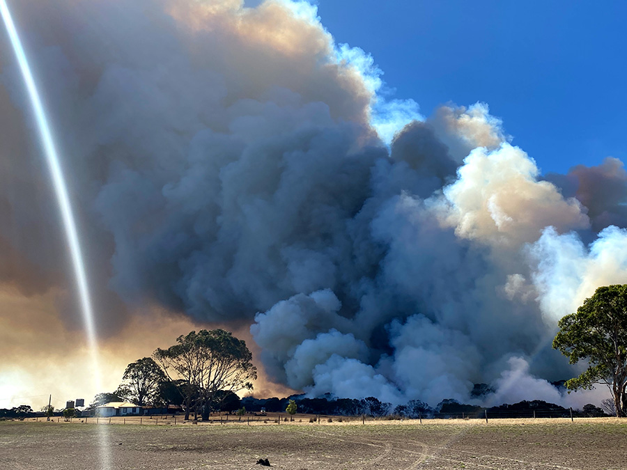 Bushfires on Kangaroo Island, 2019 (photograph by New Matilda via Wikimedia Commons)
