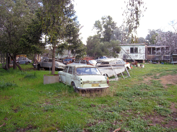 view-of-spring-forest-with-cars