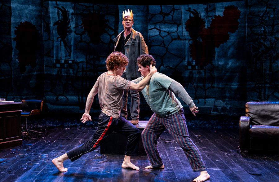 ‘Grief Is the Thing with Feathers: An adapation of Max Porter’s novel’ by Clare Monagle