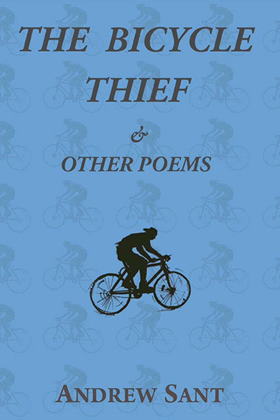 Martin Duwell reviews The Bicycle Thief & Other Poems by Andrew Sant