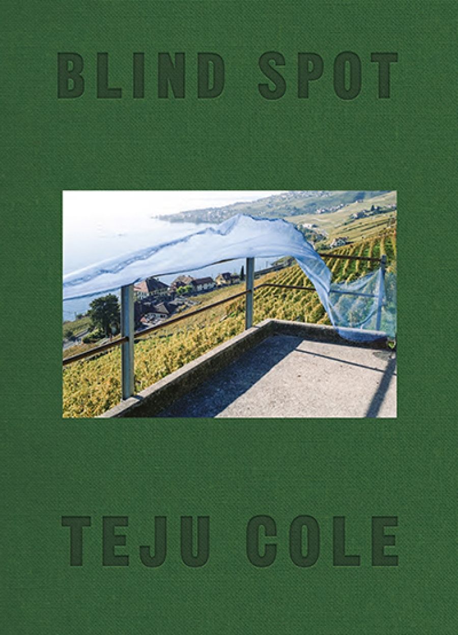 Louis Klee reviews Blind Spot by Teju Cole