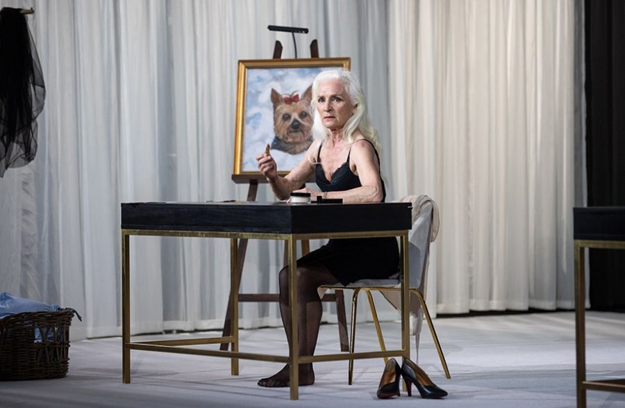 The President: A Thomas Bernhard première in Sydney by Ian Dickson