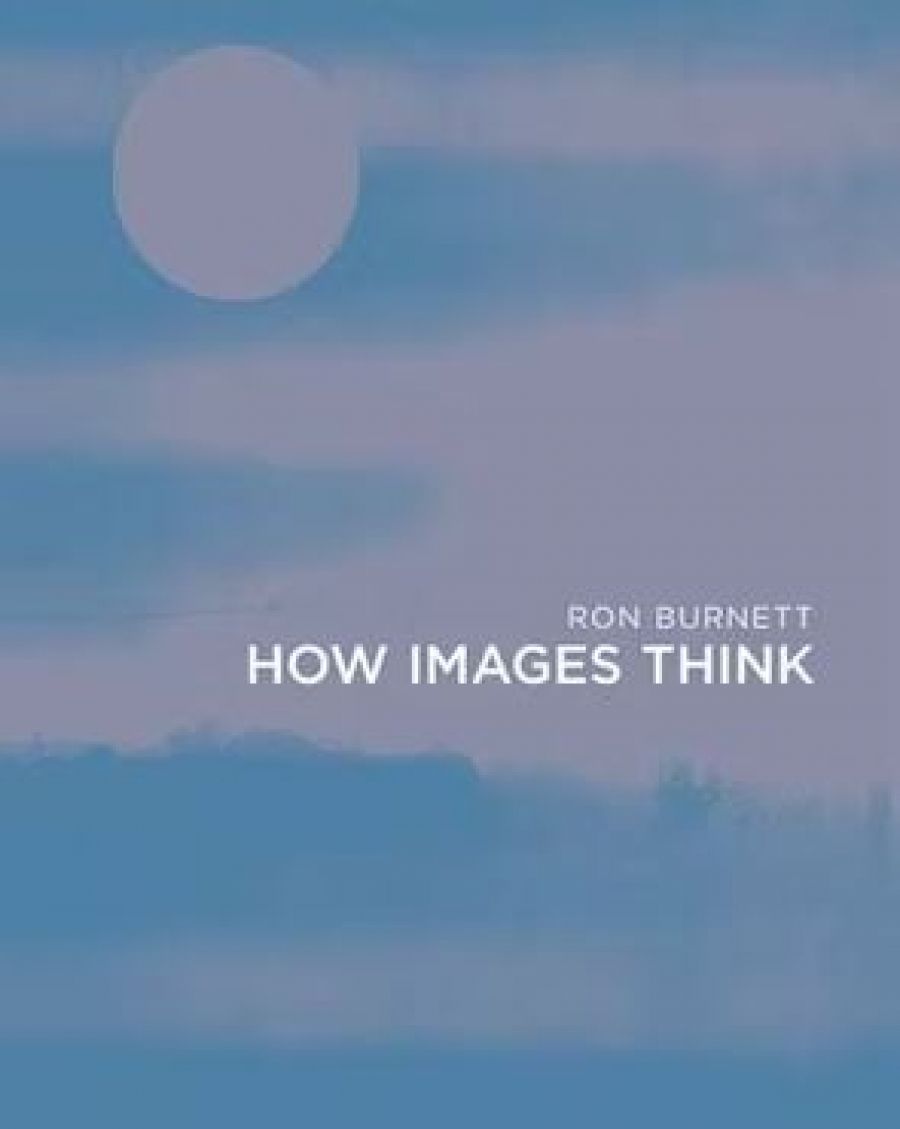 Ilana Snyder reviews How Images Think by Ron Burnett