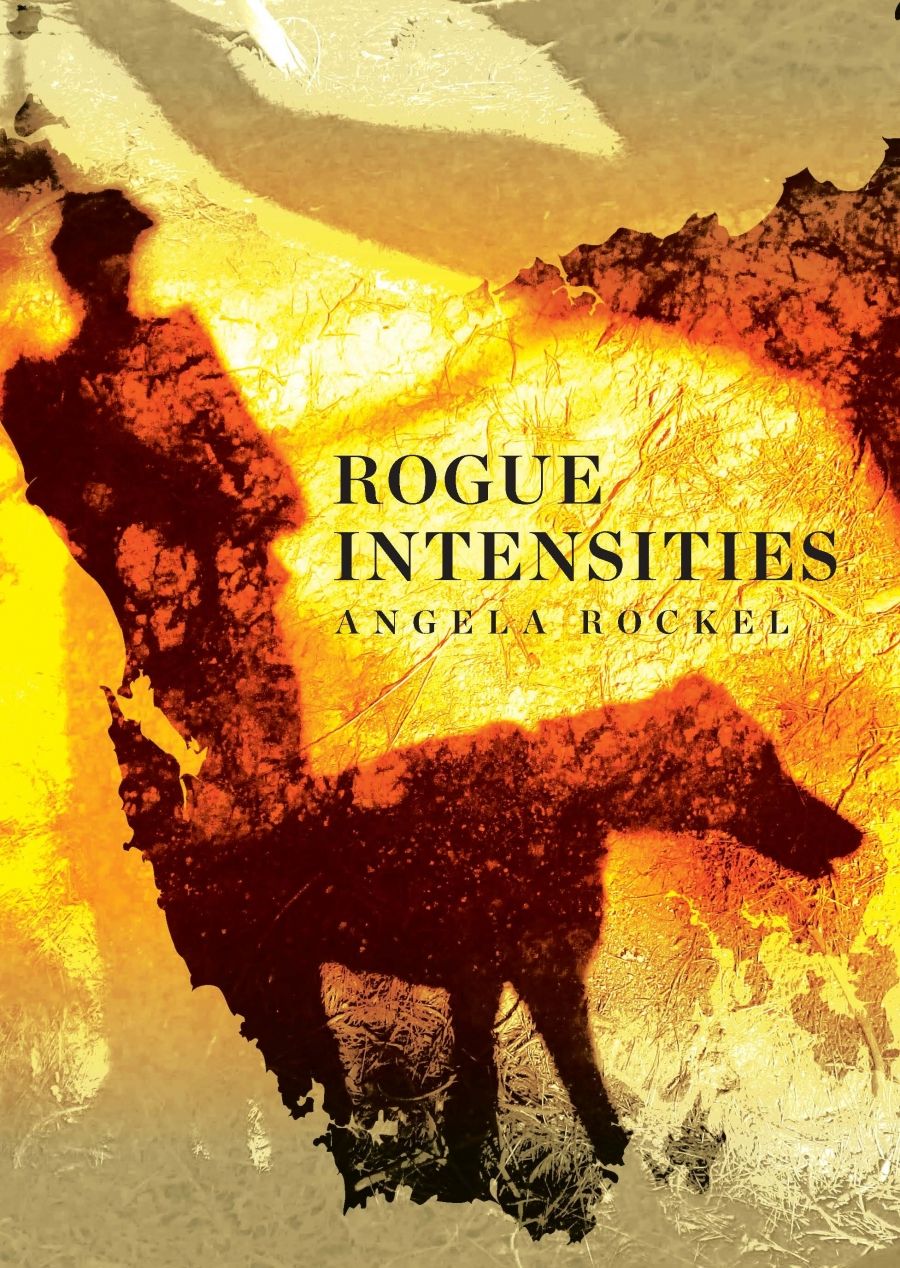 Rayne Allinson reviews Rogue Intensities by Angela Rockel