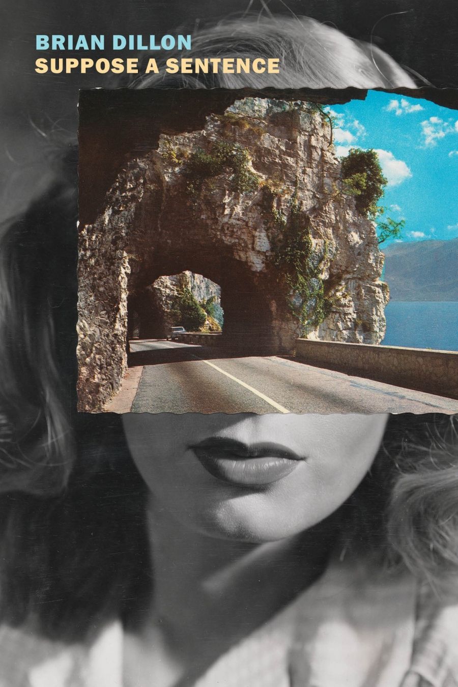 Luke Beesley reviews Suppose a Sentence by Brian Dillon