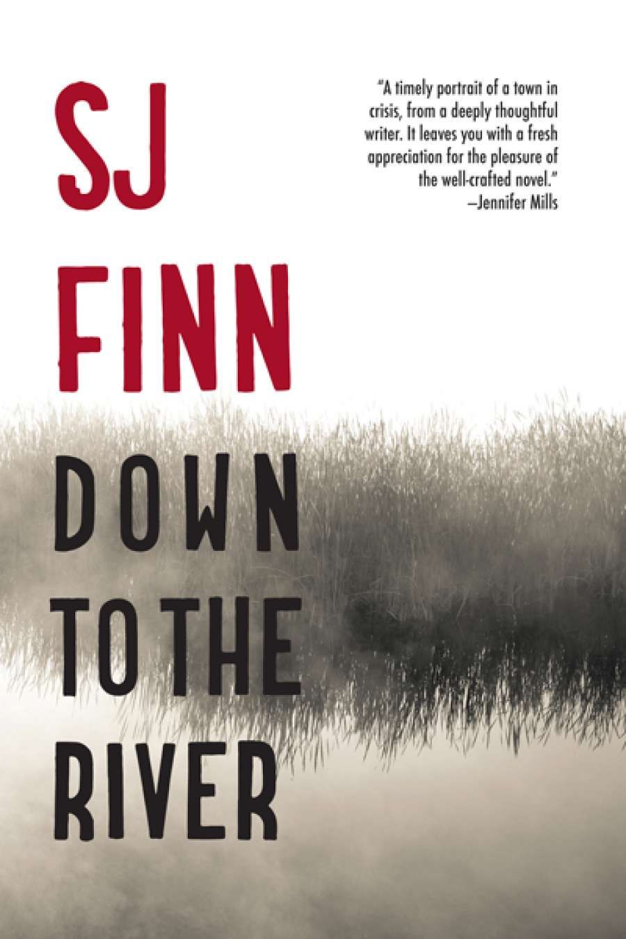 Luke Johnson reviews Down to the River by S.J. Finn