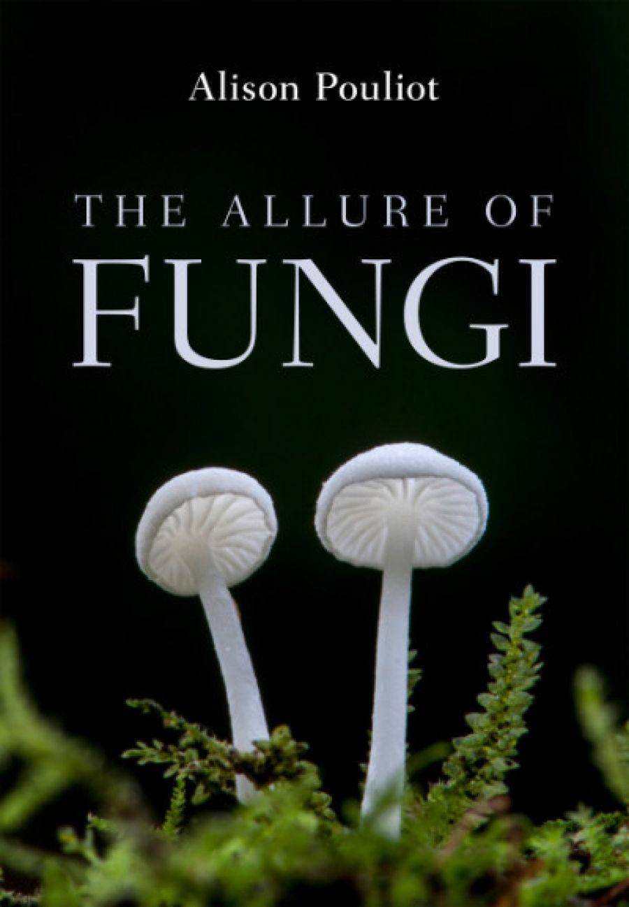 Andrea Gaynor reviews The Allure of Fungi by Alison Pouliot