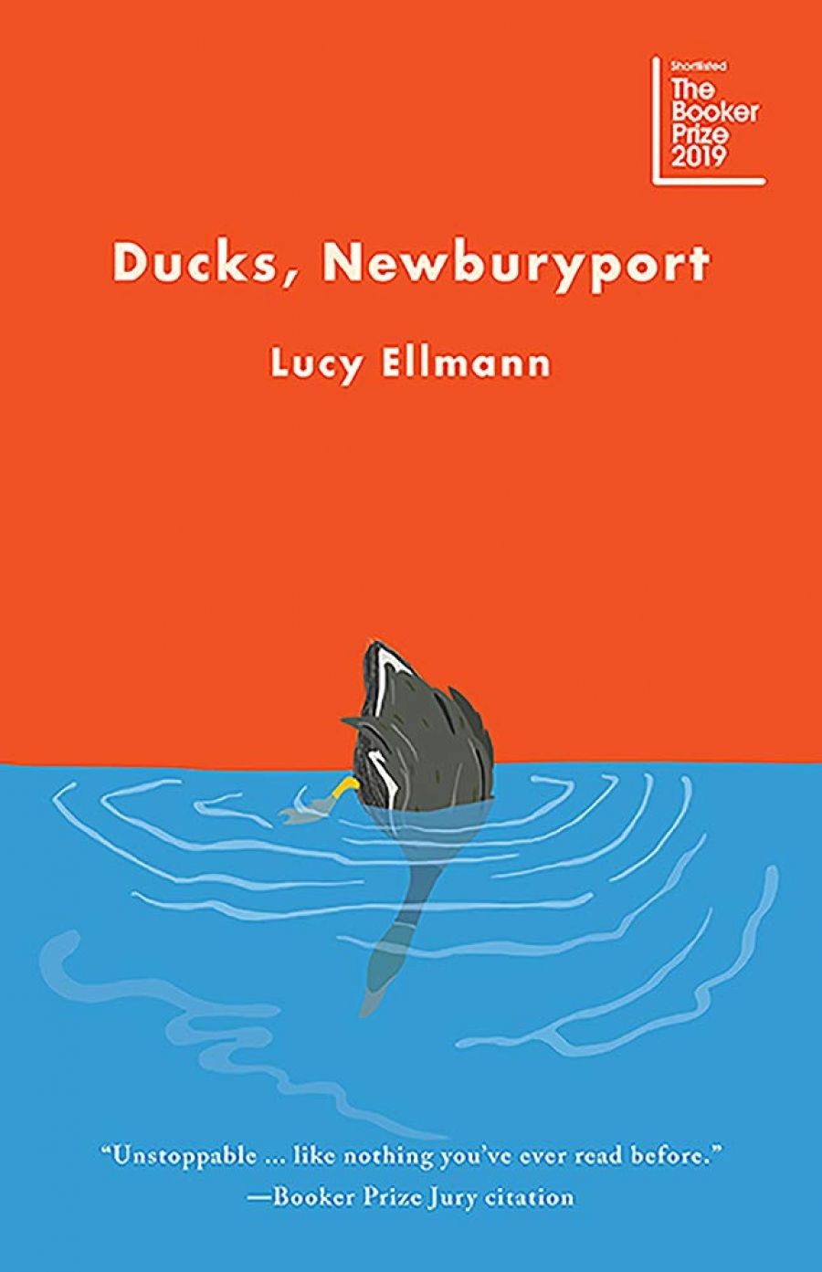 Shannon Burns reviews Ducks, Newburyport by Lucy Ellmann
