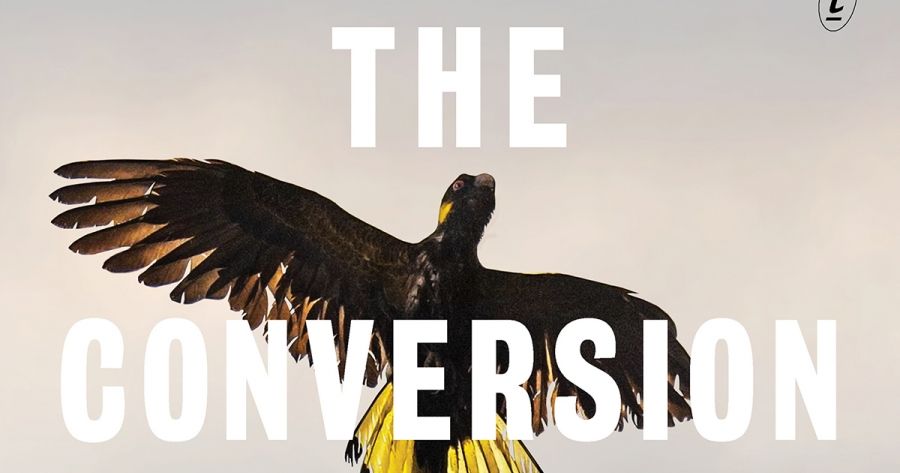 Felicity Plunkett reviews The Conversion by Amanda Lohrey