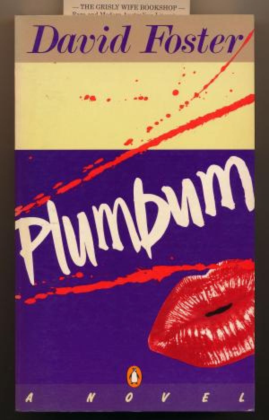 Helen Daniel reviews Plumbum by David Foster