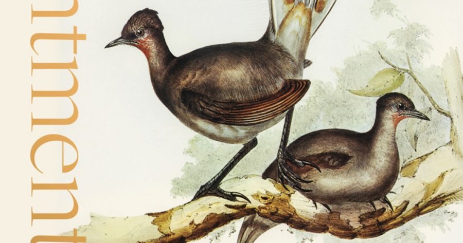 Gregory Day reviews ‘Enchantment by Birds:  A history of birdwatching in 22 species’ by Russell McGregor