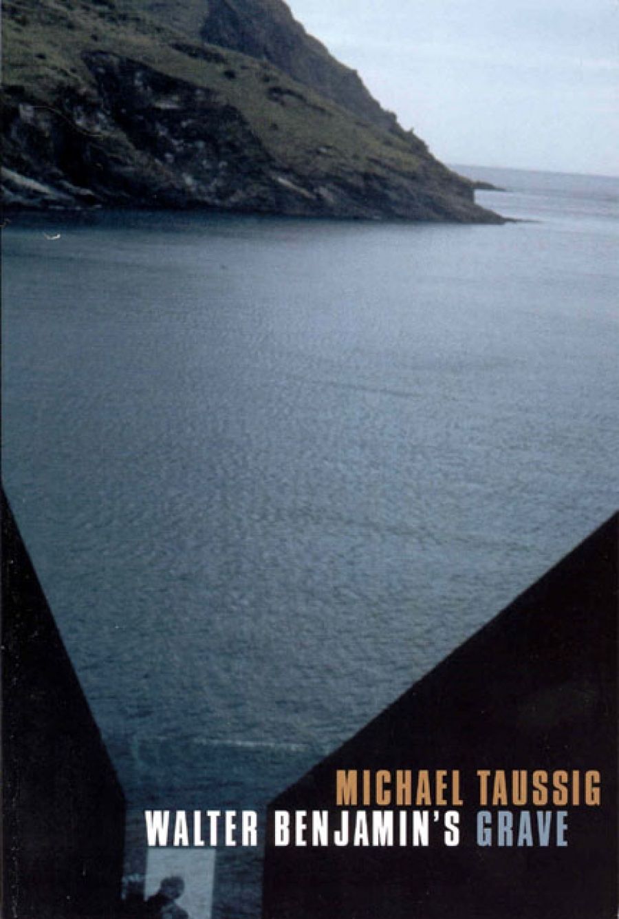 Stephen Muecke reviews Walter Benjamins Grave by Michael Taussig