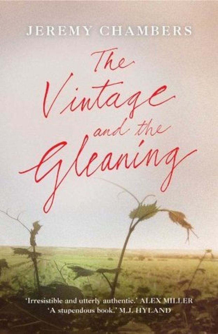 Laurie Steed reviews The Vintage and the Gleaning by Jeremy Chambers