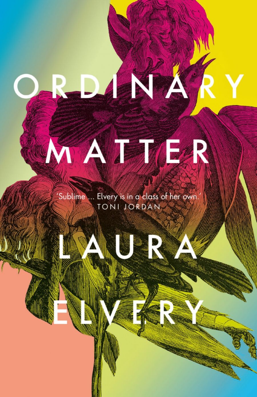 Susan Midalia reviews Ordinary Matter by Laura Elvery