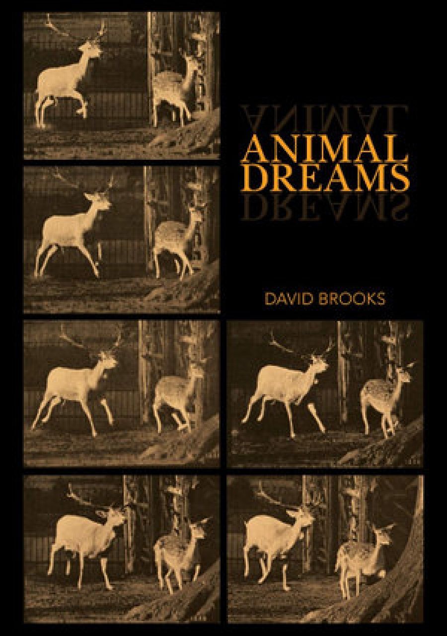 Ben Brooker reviews Animal Dreams by David Brooks