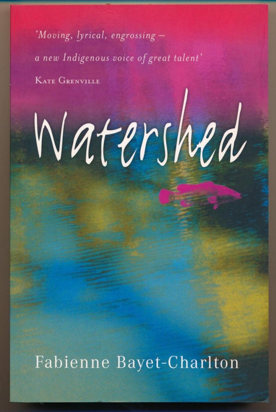 Maya Linden reviews Watershed by Fabienne Bayet-Charlton, and Summer at Mount Hope by Rosalie Ham