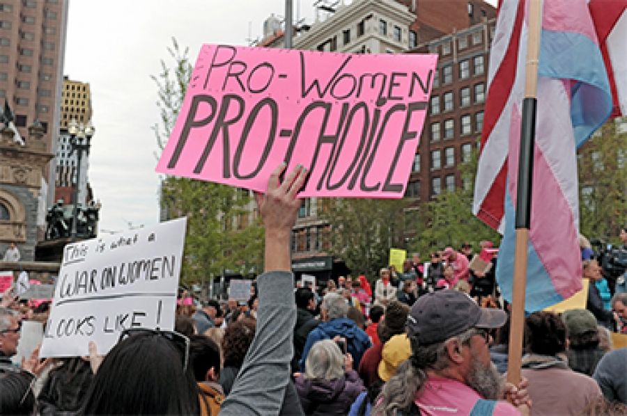 Shouting Abortion: A doctor reflects on the politics and economics of terminations by Linda Atkins
