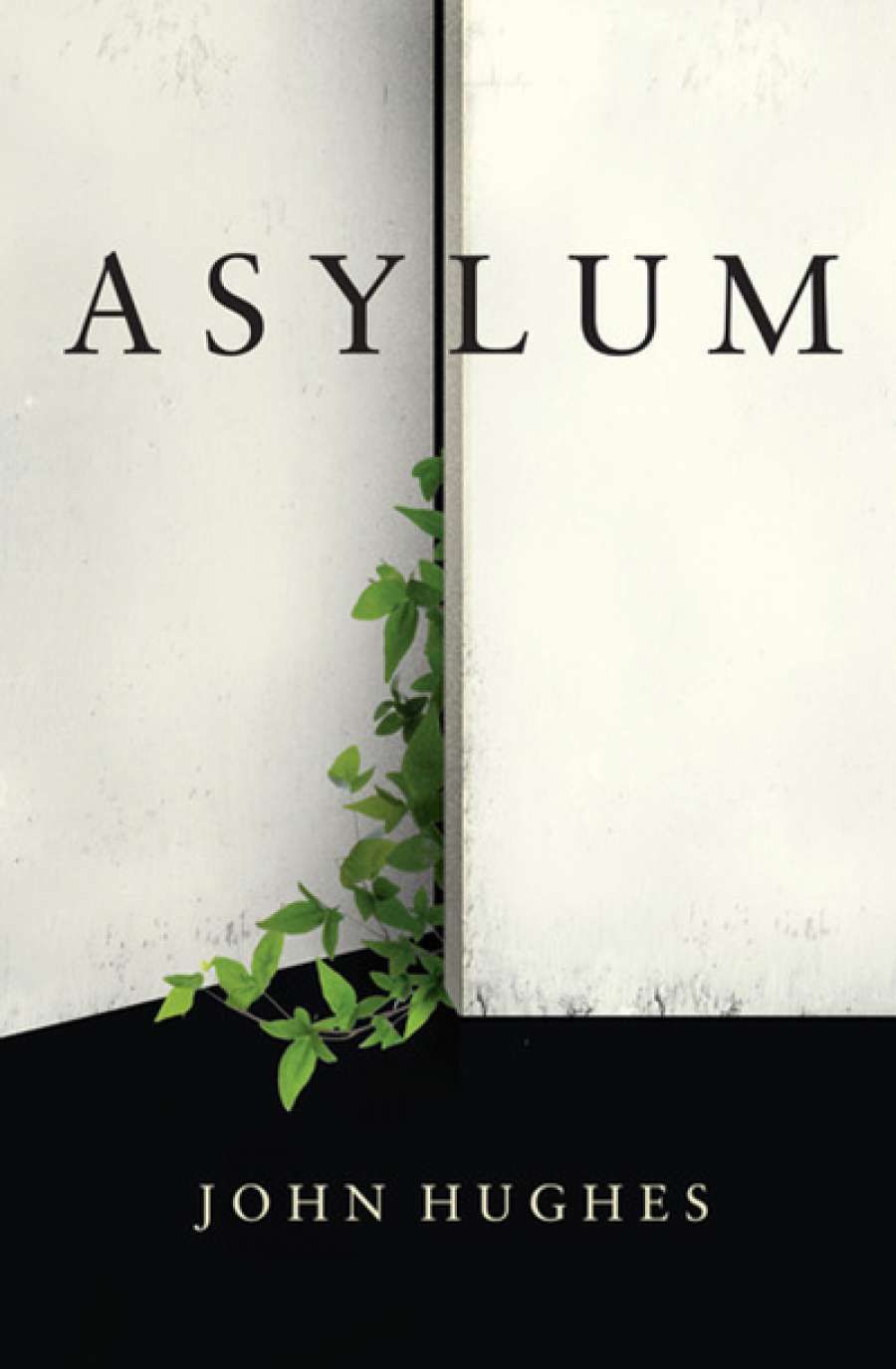 Lucas Smith reviews Asylum by John Hughes