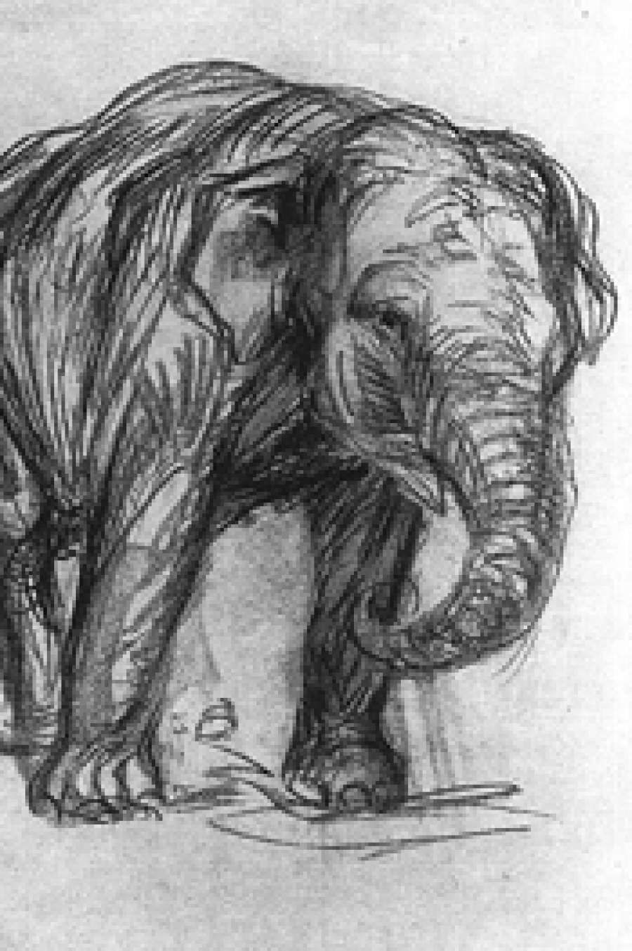 The Philosophy Exam, a new poem by Kevin Brophy