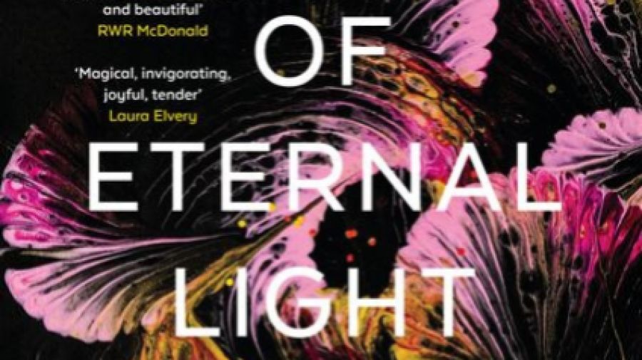 Jennifer Mills reviews A Country of Eternal Light by Paul Dalgarno