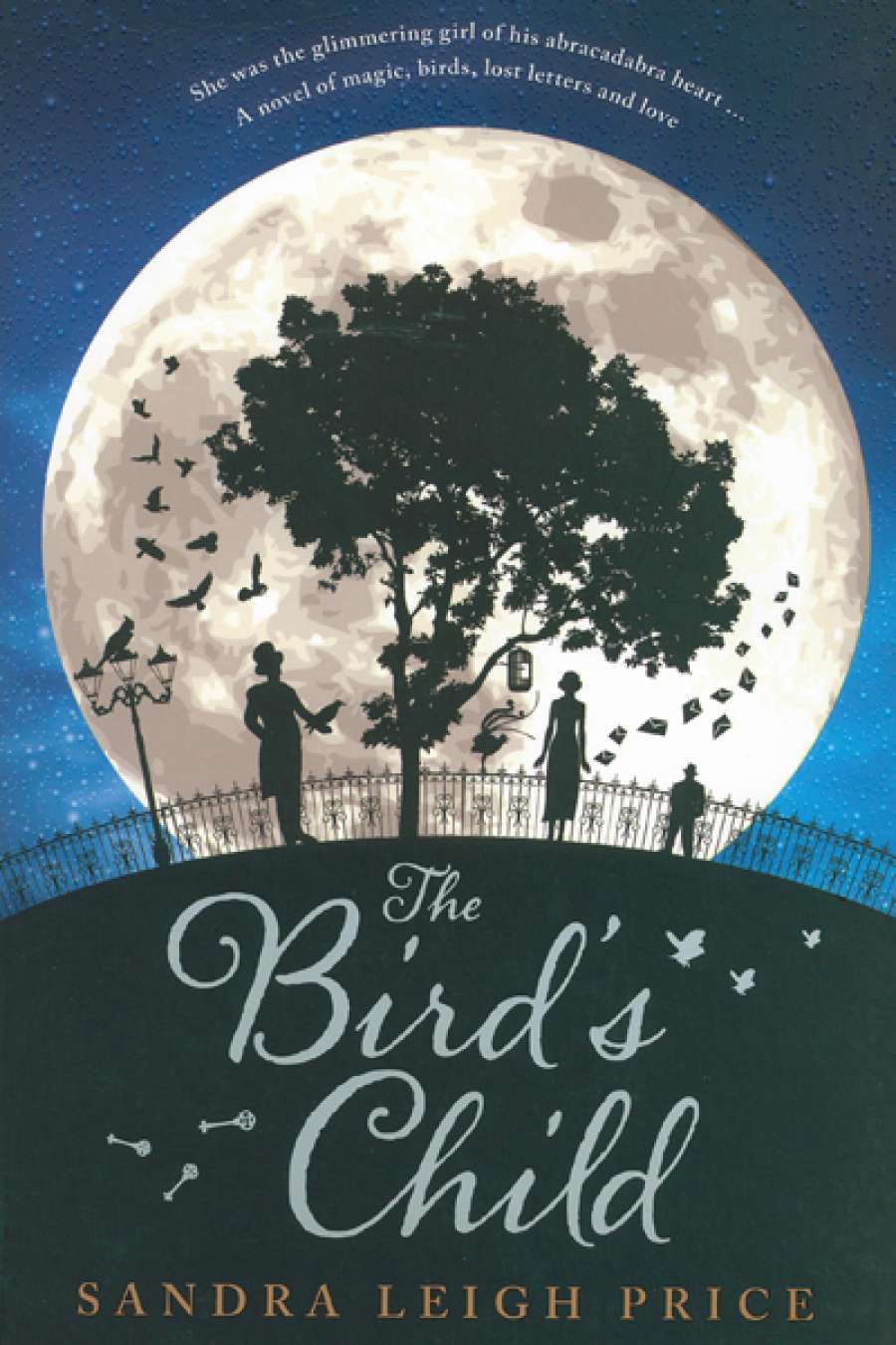 Grace Nye reviews The Birds Child by Sandra Leigh Price