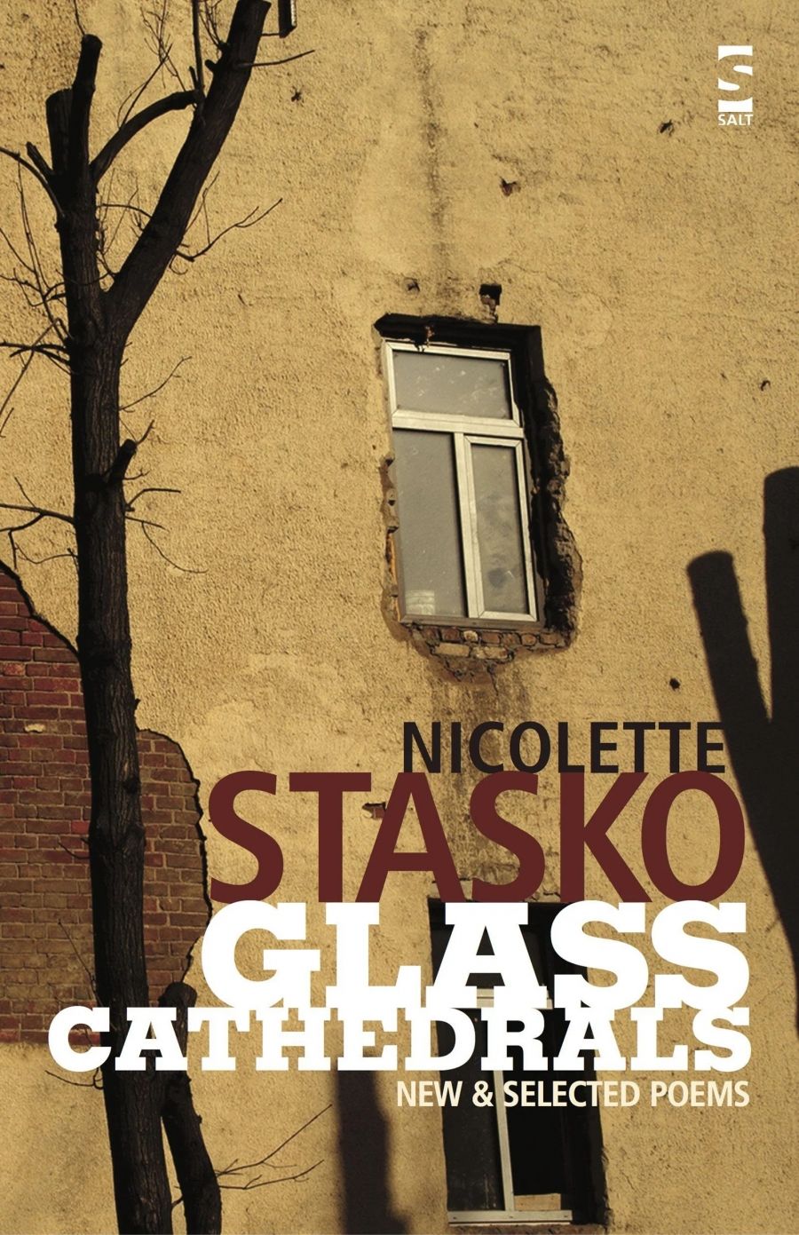 Adrian Caesar reviews Glass Cathedrals: New and selected poems by Nicolette Stasko
