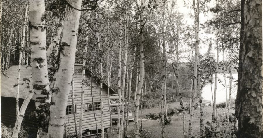 Wallpaper, a new poem by Anders Villani