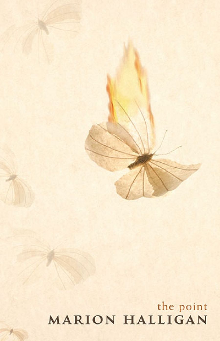 Carolyn Tétaz reviews The Point by Marion Halligan