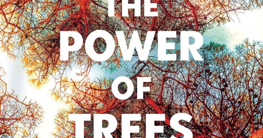 Ruby Ekkel reviews The Power of Trees: How ancient forests can save us if we let them by Peter Wohlleben, translated by Jane Billinghurst