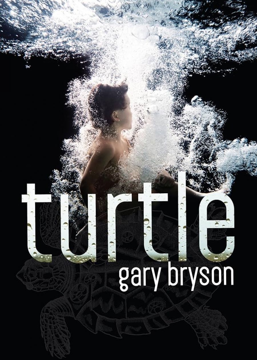 Rjurik Davidson reviews Turtle by Gary Bryson