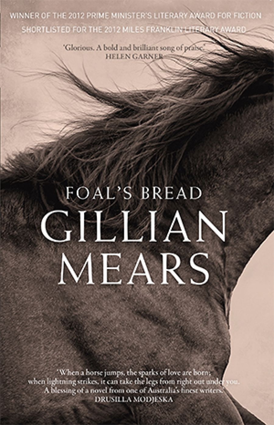 Gillian Dooley reviews Foals Bread by Gillian Mears