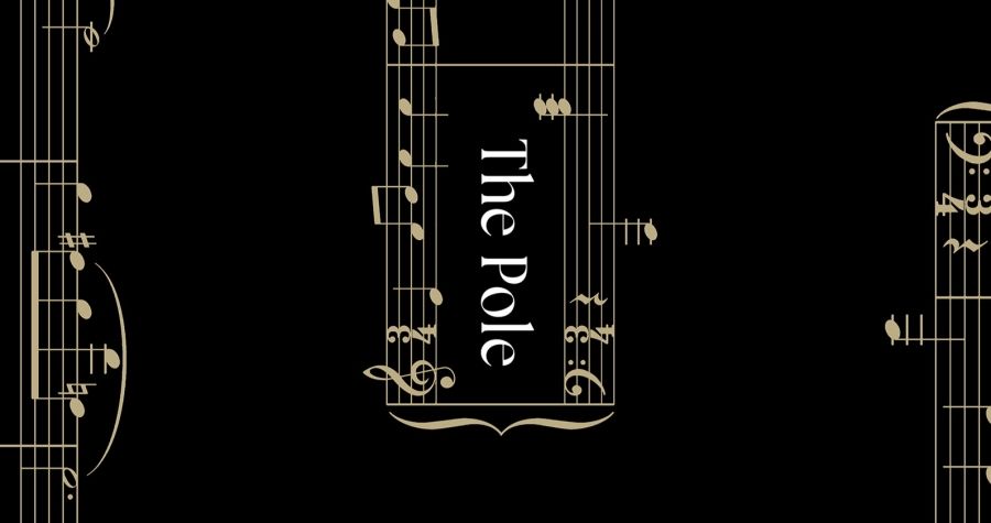 Geordie Williamson reviews The Pole and Other Stories by J.M. Coetzee