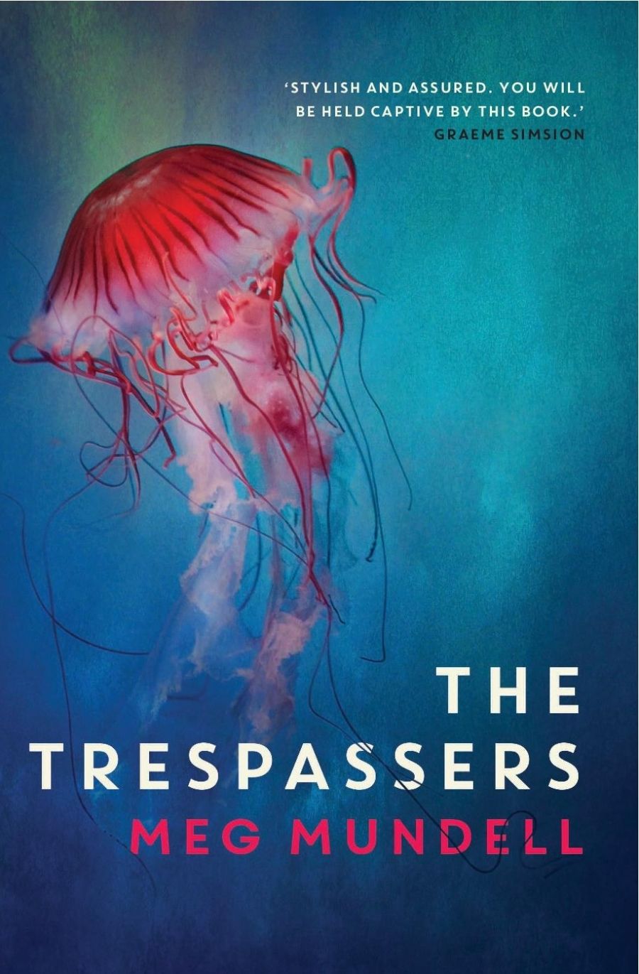 Amy Baillieu reviews The Trespassers by Meg Mundell
