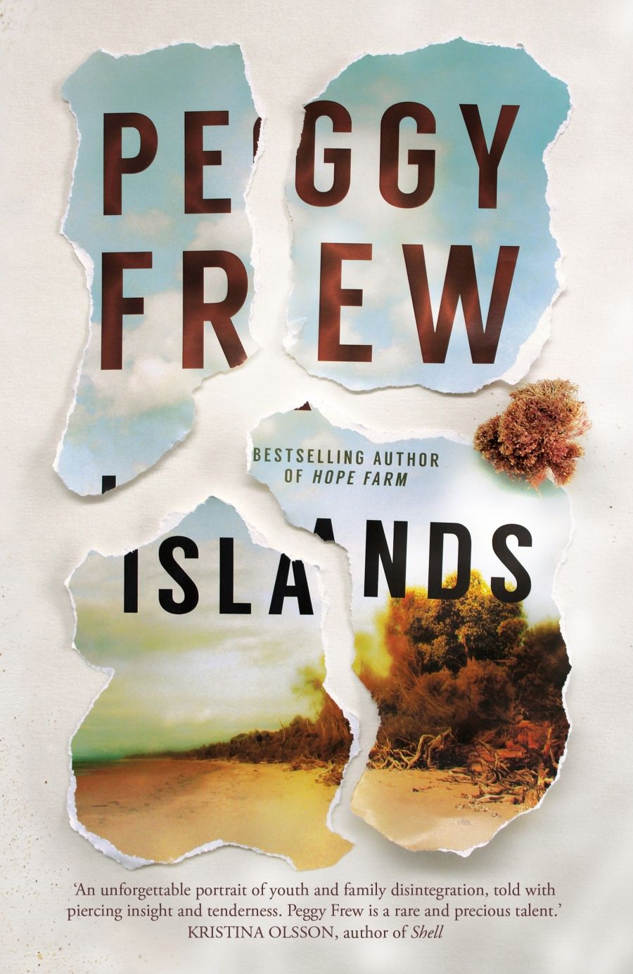 Bronwyn Lea reviews Islands by Peggy Frew