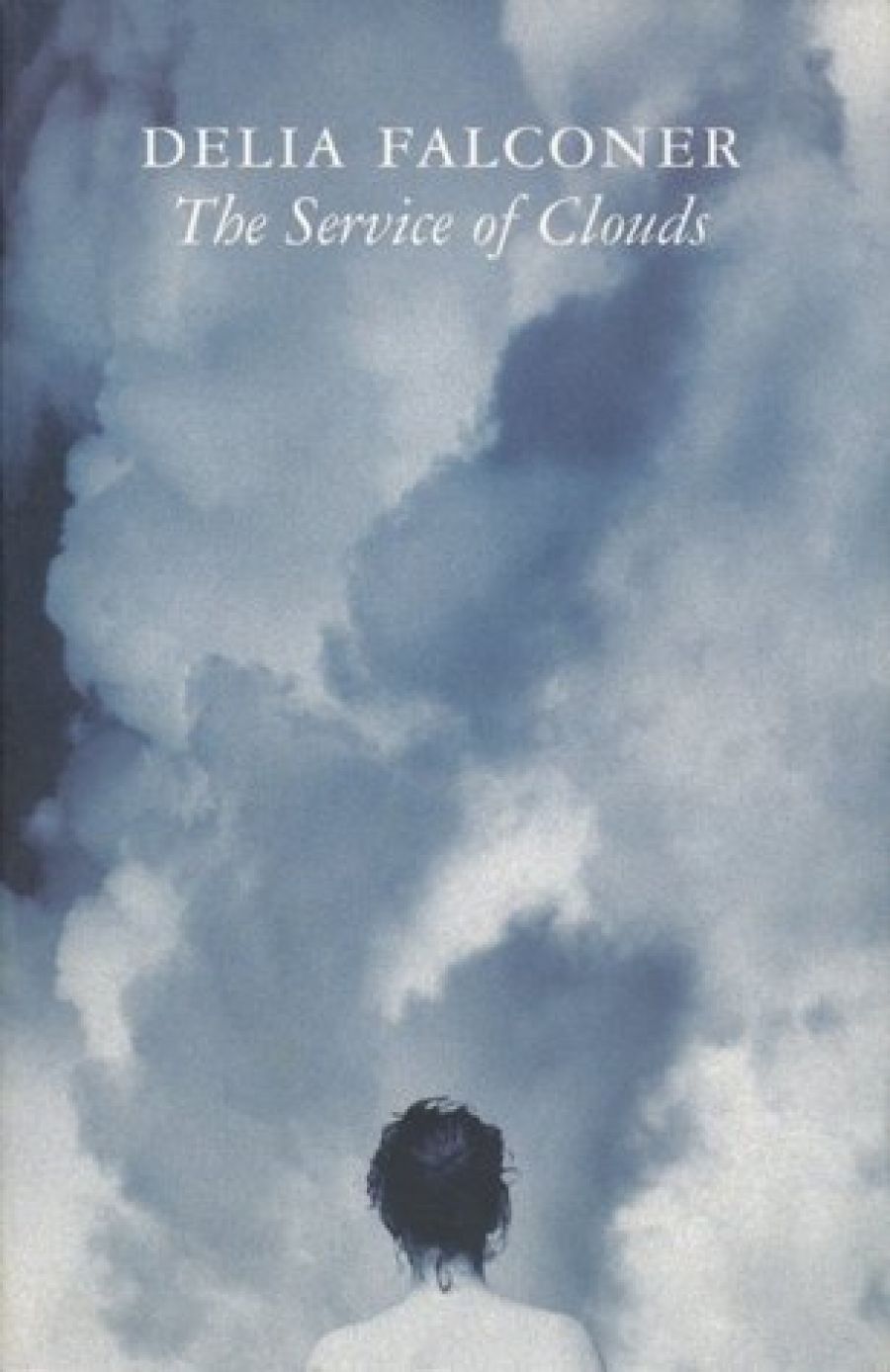 Terri-ann White reviews The Service of Clouds by Delia Falconer