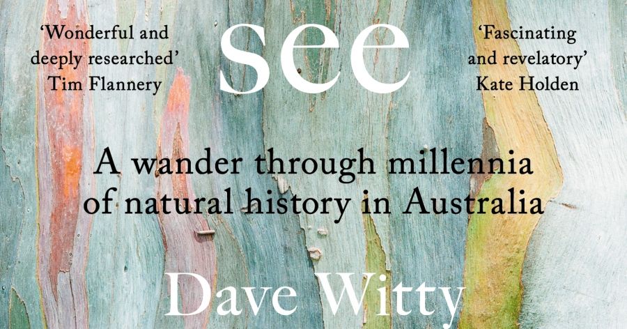 Ashley Hay reviews ‘What the Trees See: A wander through millennia of natural history in Australia’ by Dave Witty