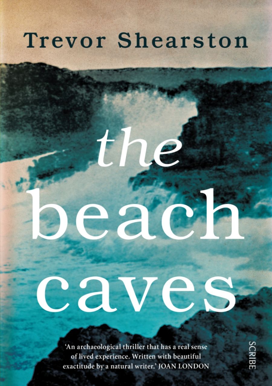 Andrew McLeod reviews The Beach Caves by Trevor Shearston