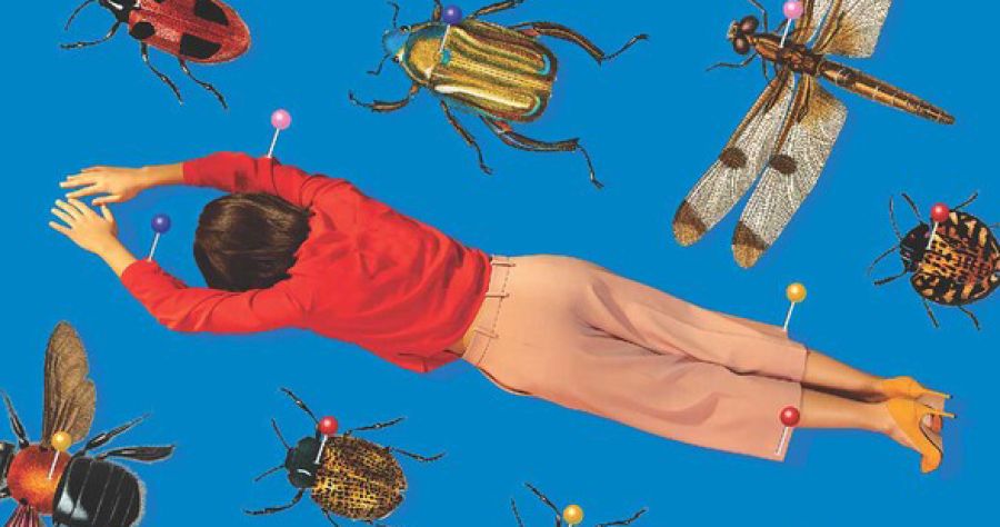 Laura Elizabeth Woollett reviews ‘Stinkbug’ by Sinéad Stubbins