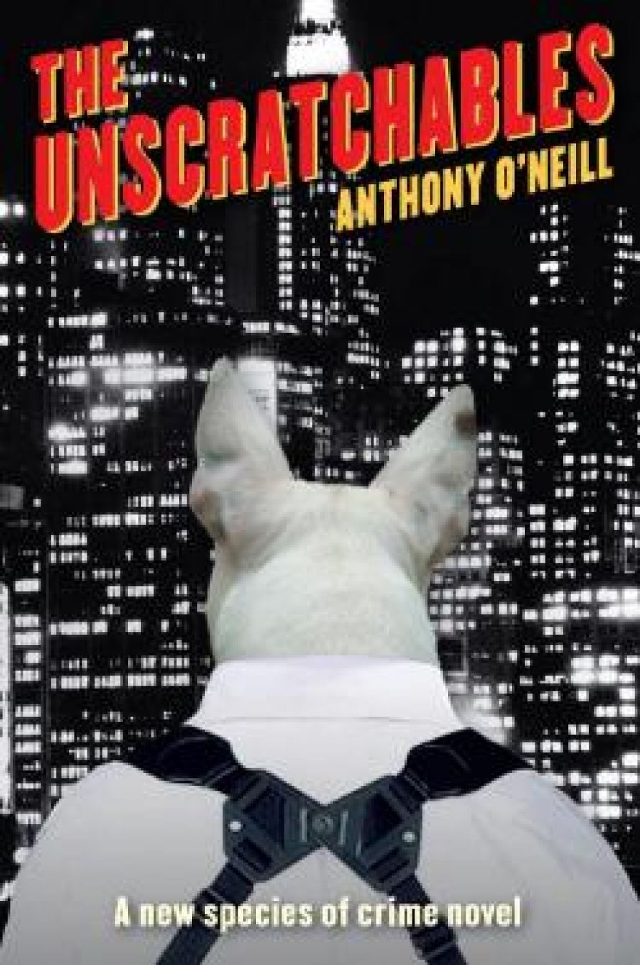 Belinda Burns reviews The Unscratchables by Anthony ONeill