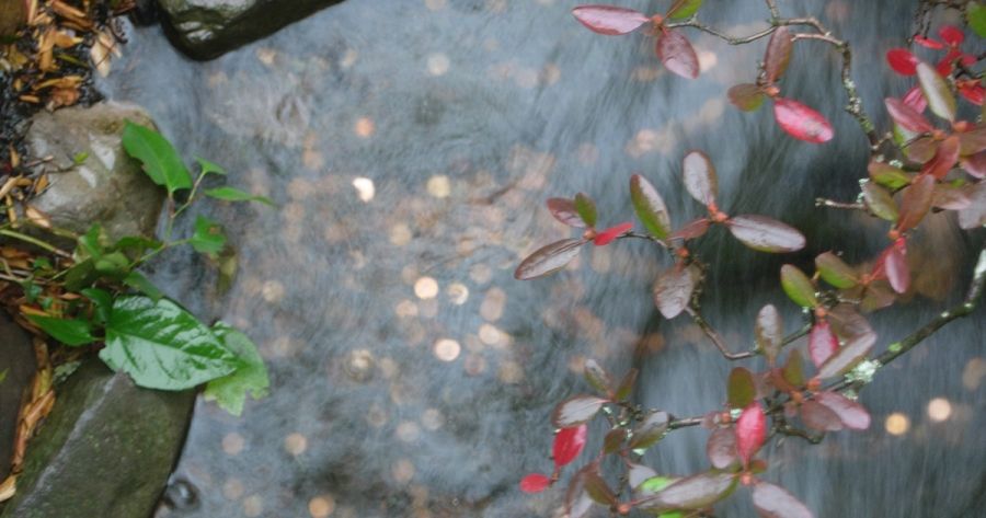 Portraits of the Future II, a new poem by Judith Bishop