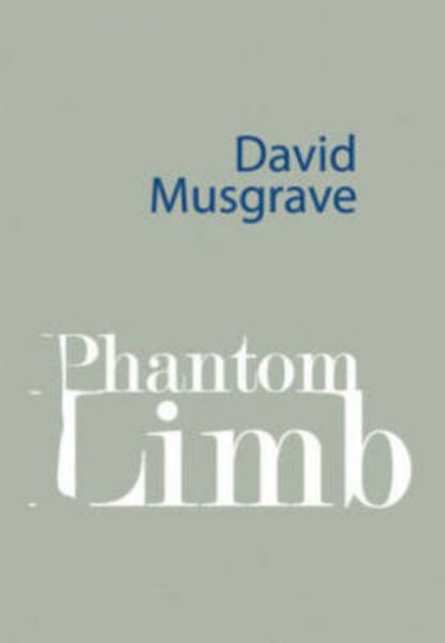 Andrew Sant reviews Phantom Limb by David Musgrave