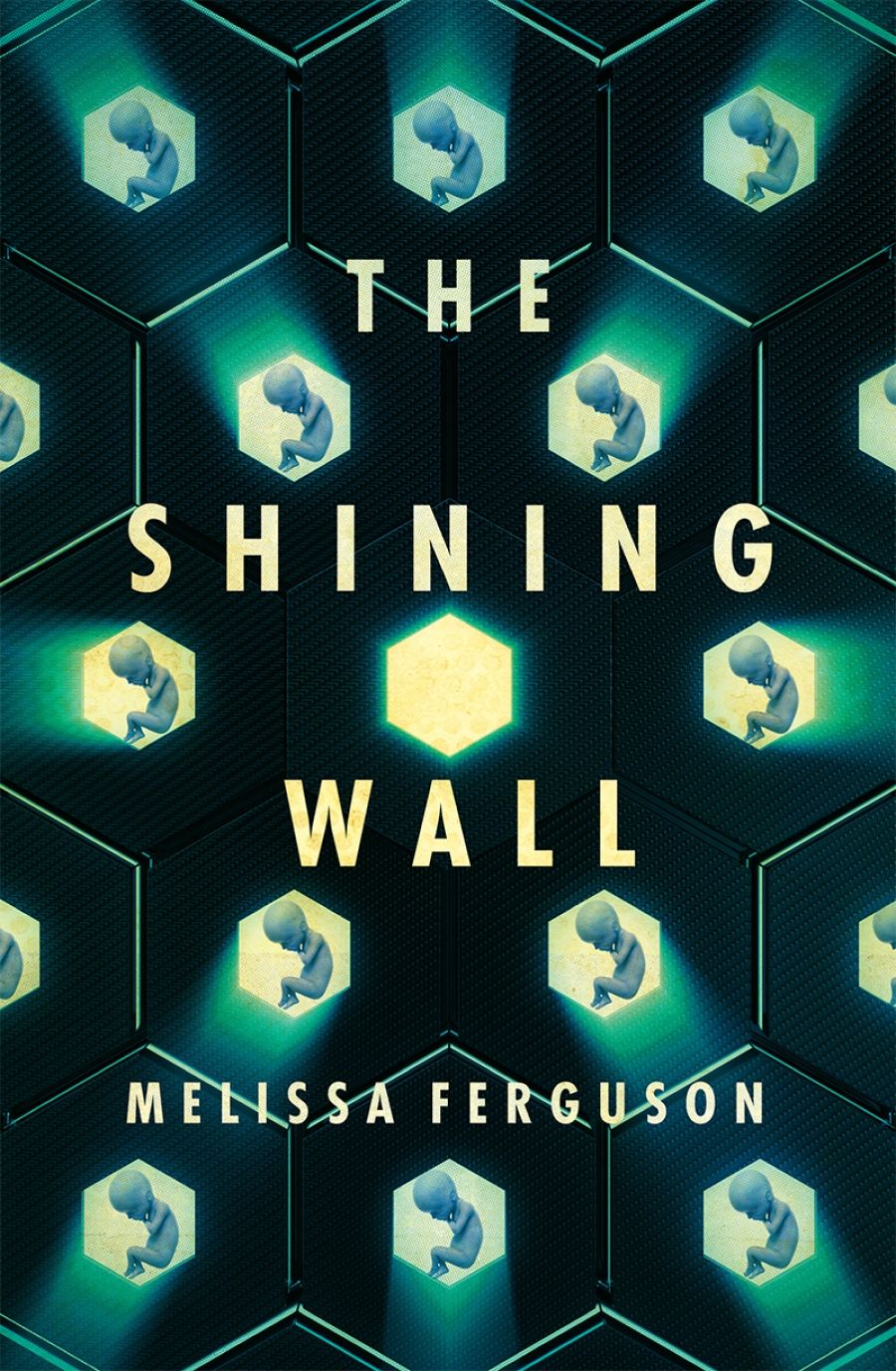 Jacinta Mulders reviews The Shining Wall by Melissa Ferguson