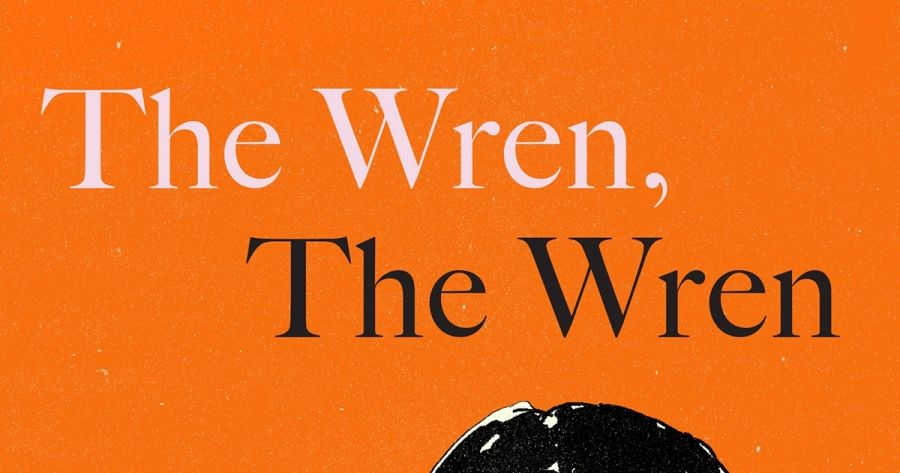 Diane Stubbings reviews The Wren, The Wren by Anne Enright