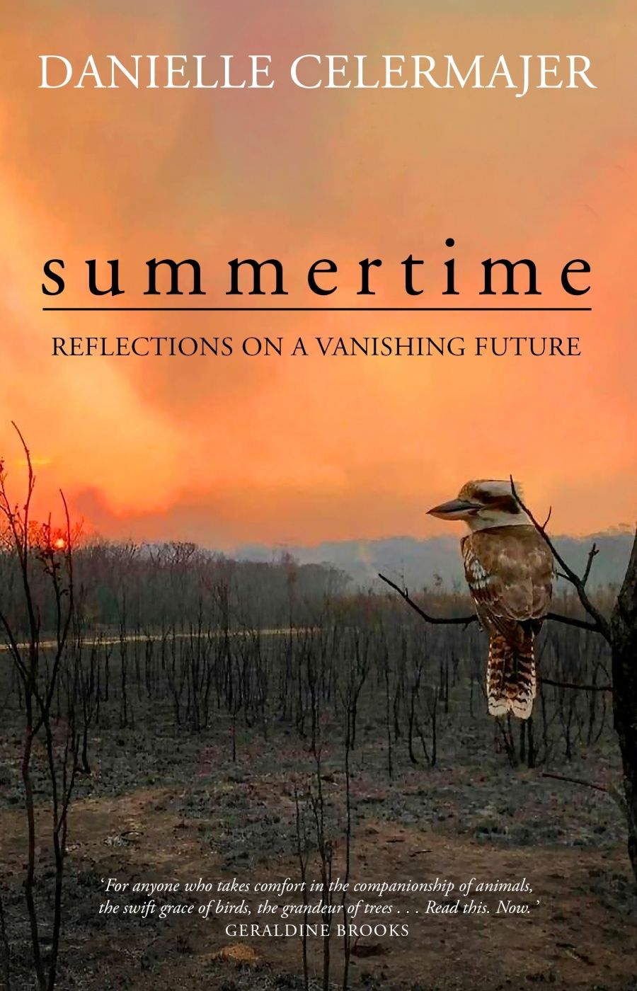 Alice Bishop reviews Summertime: Reflections on a vanishing future by Danielle Celermajer