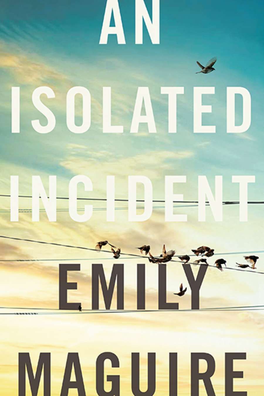 Jay Daniel Thompson reviews An Isolated Incident by Emily Maguire