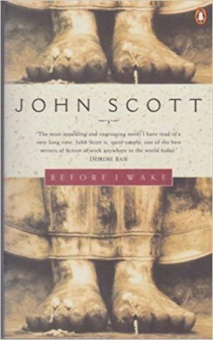 Don Anderson reviews Before I Wake by John Scott