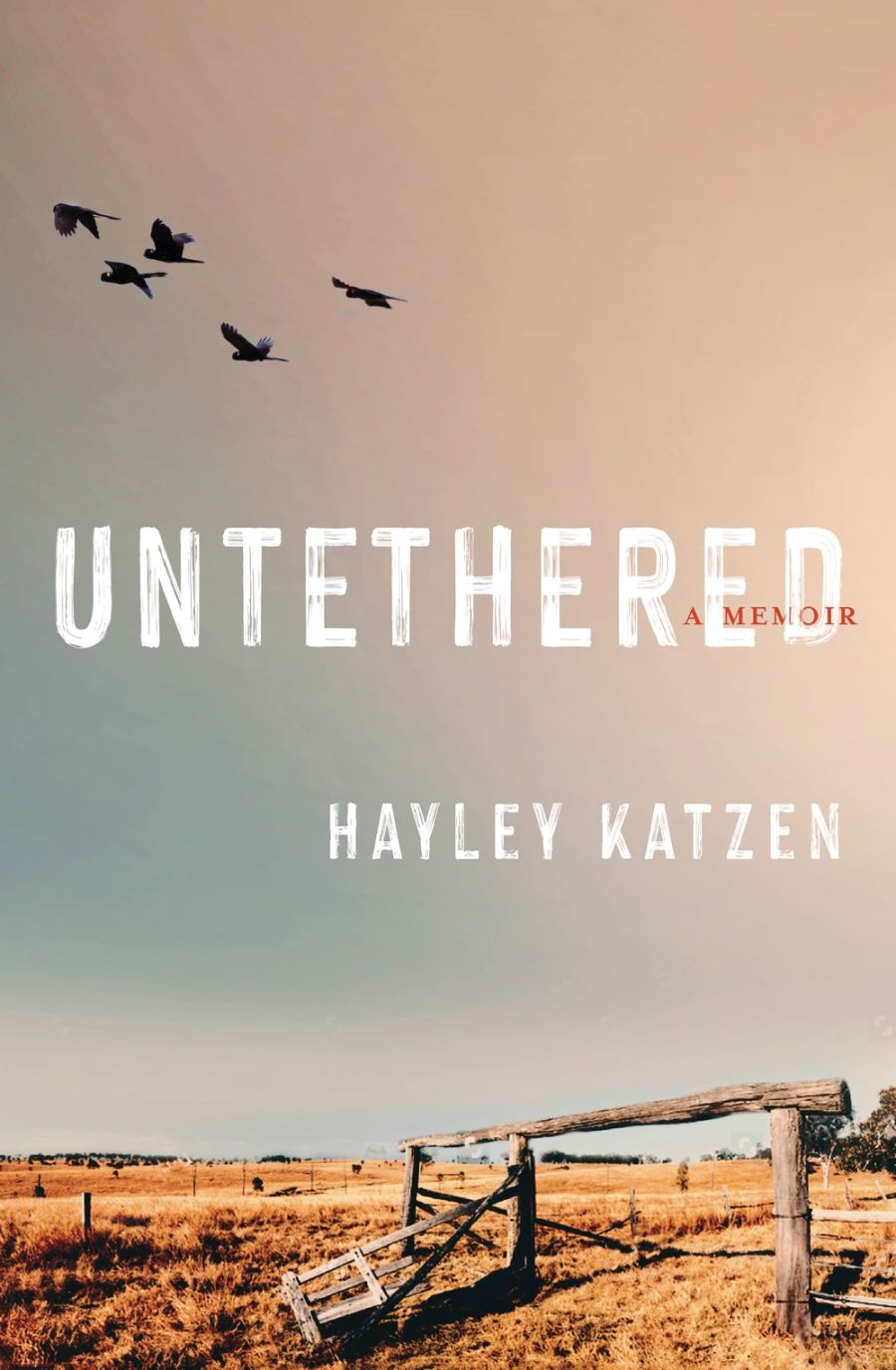 Susan Varga reviews Untethered by Hayley Katzen