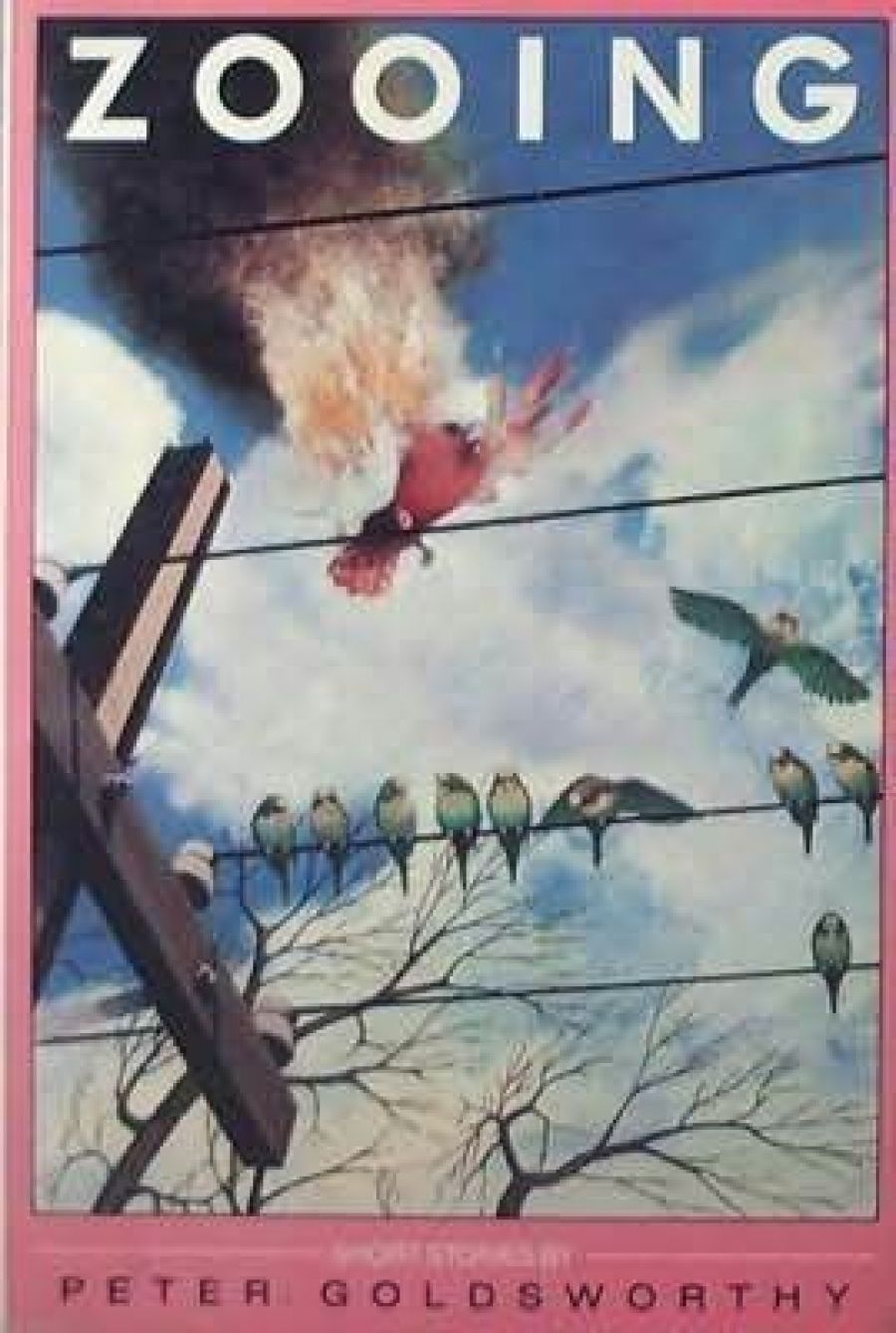 Gerard Windsor reviews Zooing by Peter Goldsworthy and Going Home by Archie Weller