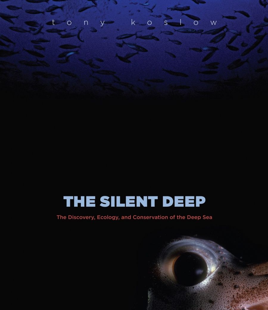 Paul Humphries reviews The Silent Deep by Tony Koslow
